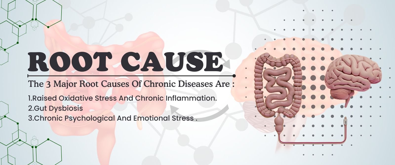 WhatsApp Image 2026-01-08 at 9.50.09 PM (1)